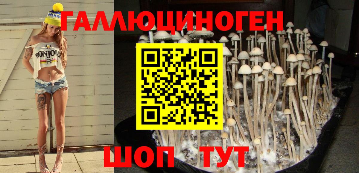 Псилоцибиновые грибы мухоморы Югорск