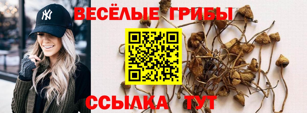 Югорск  Галлюциногенные грибы GOLDEN TEACHER  Вход с VPN 